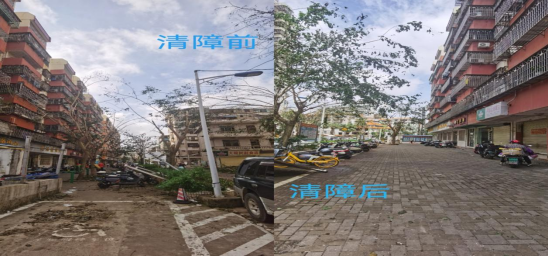 “摩羯”无情党员有责——海南省勘察设计协会党支部支援灾后重建纪实494